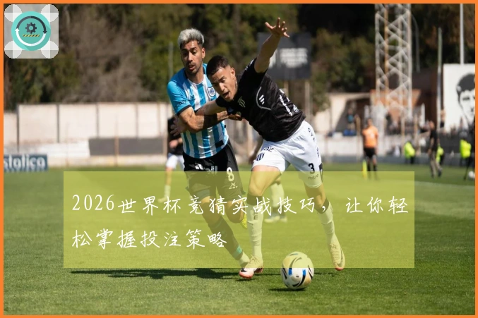 2026世界杯竞猜实战技巧，让你轻松掌握投注策略