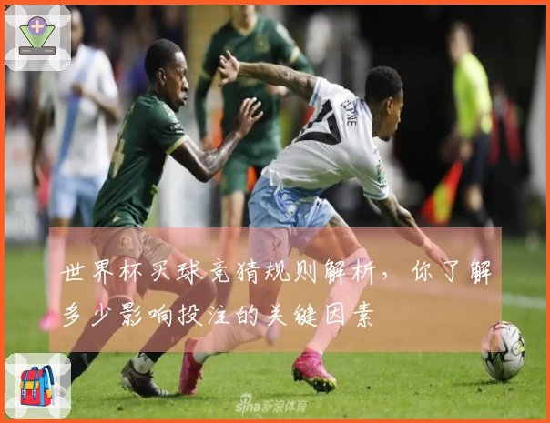 世界杯买球竞猜规则解析，你了解多少影响投注的关键因素