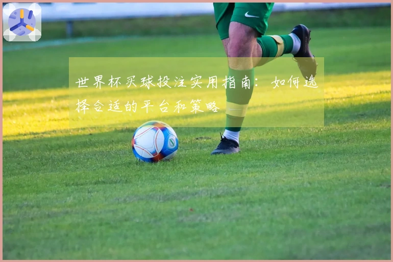 世界杯买球投注实用指南：如何选择合适的平台和策略