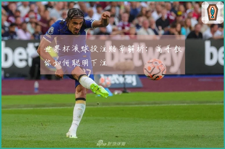 世界杯滚球投注赔率解析：高手教你如何聪明下注