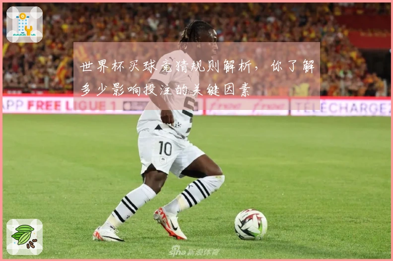 世界杯买球竞猜规则解析，你了解多少影响投注的关键因素